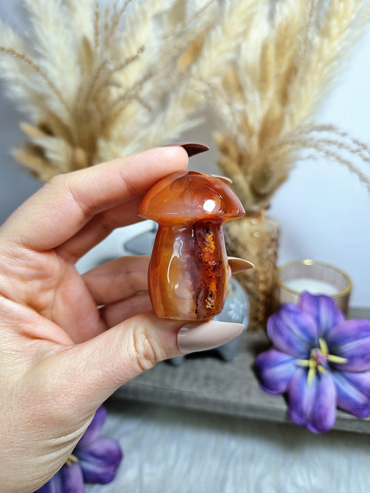 Fungo di AGATA CORNIOLA - n 1