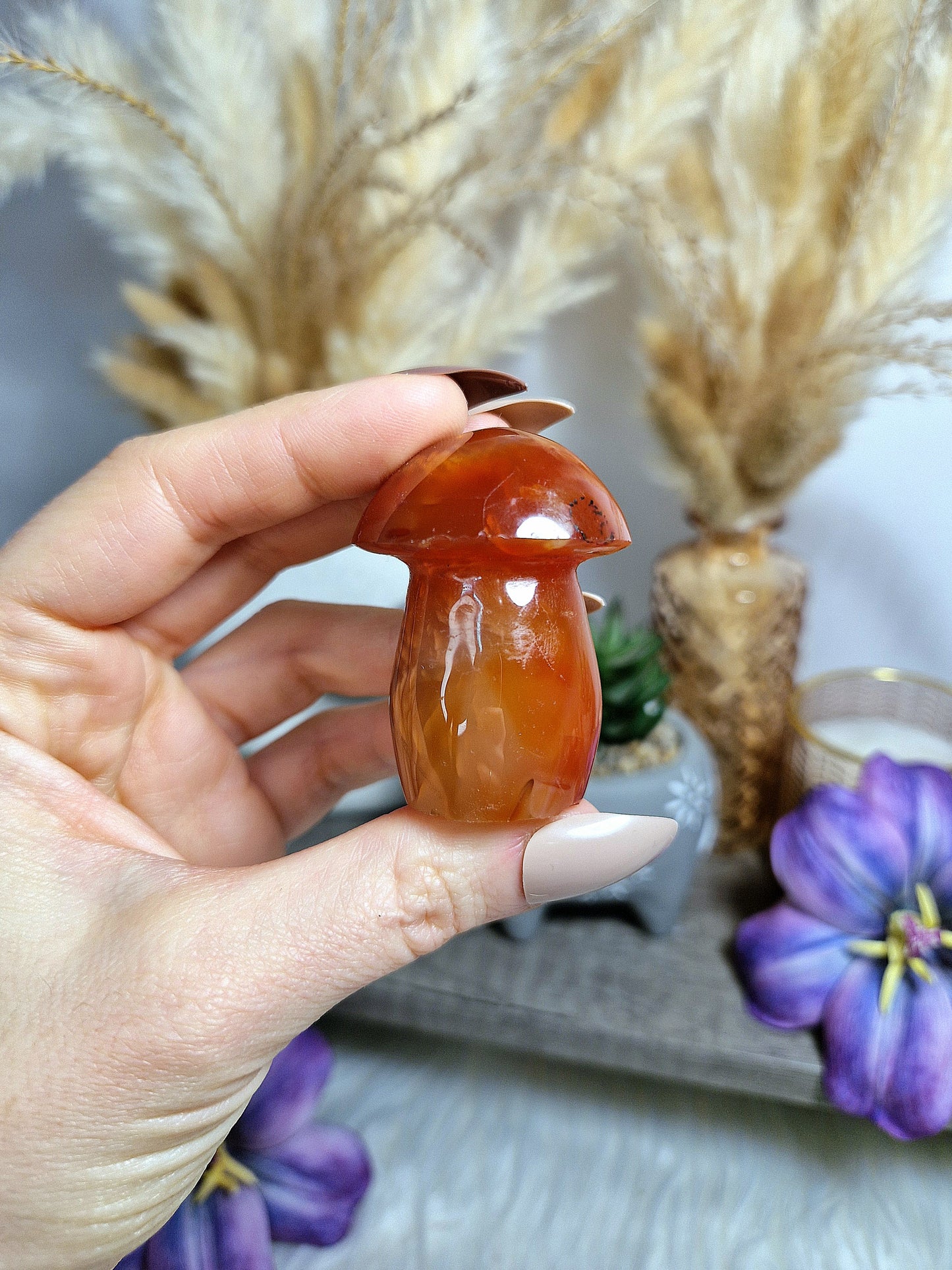 Fungo di AGATA CORNIOLA - n 1