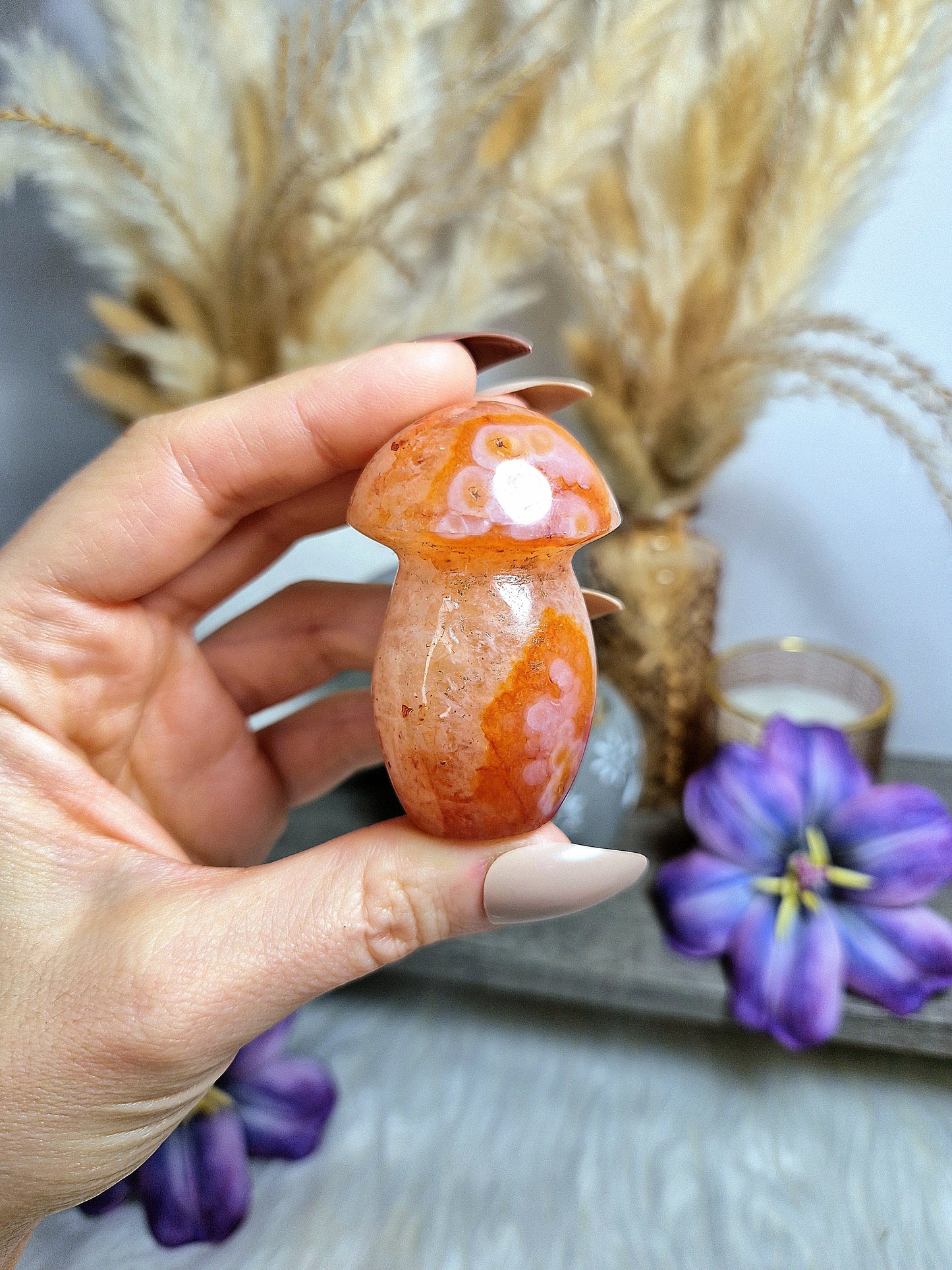 Fungo di AGATA CORNIOLA - n 2