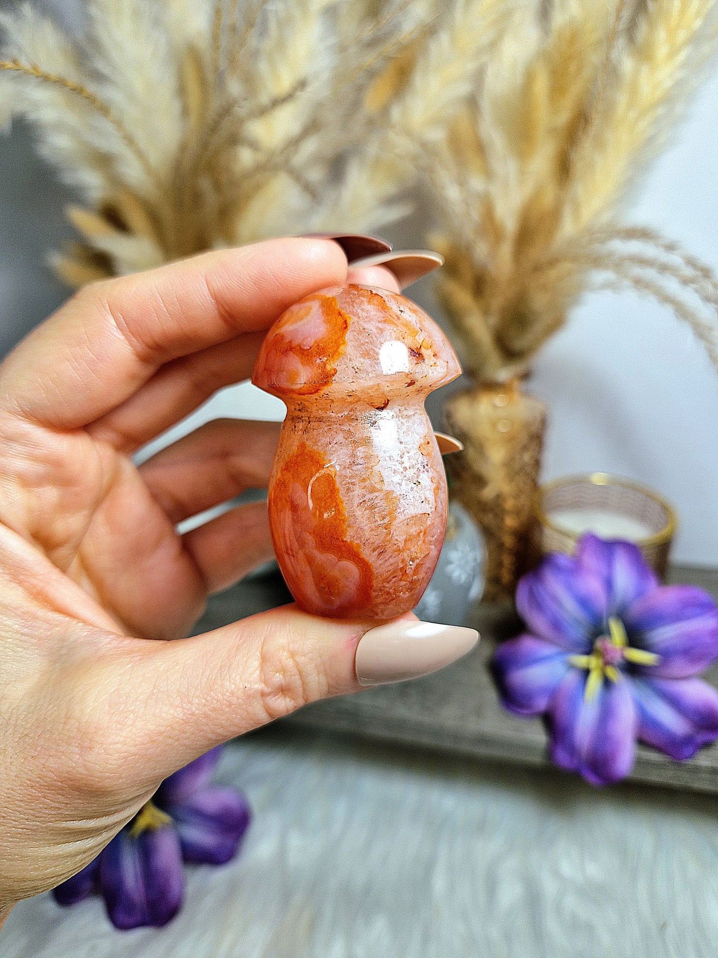 Fungo di AGATA CORNIOLA - n 2