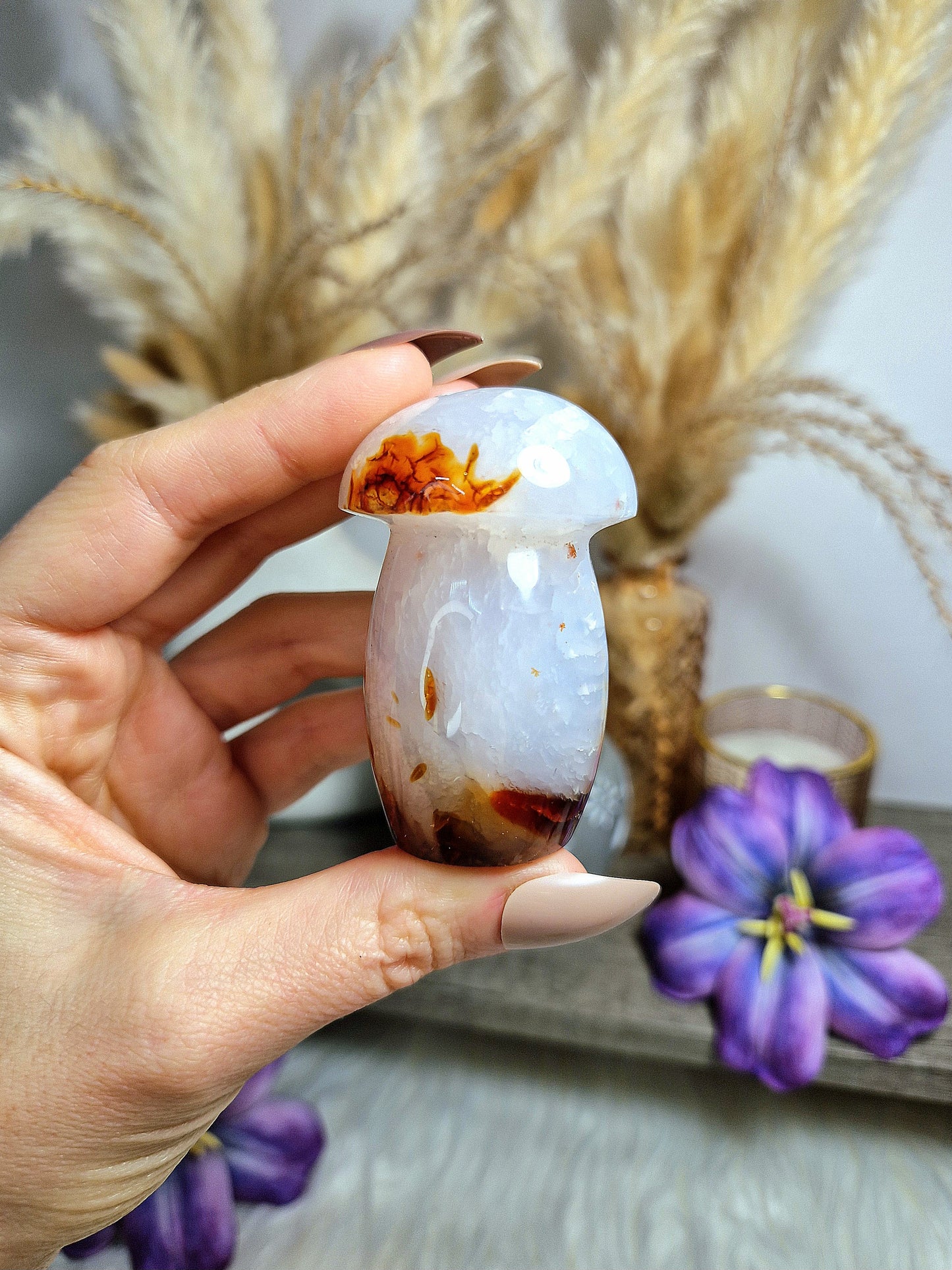 Fungo di AGATA CORNIOLA - n 3