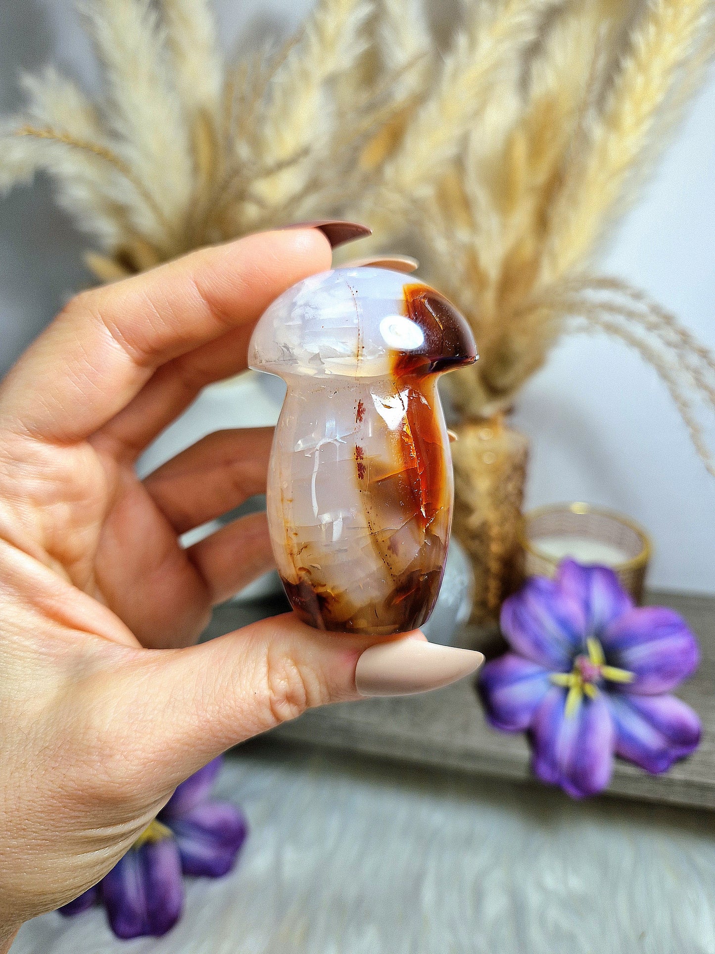 Fungo di AGATA CORNIOLA - n 3