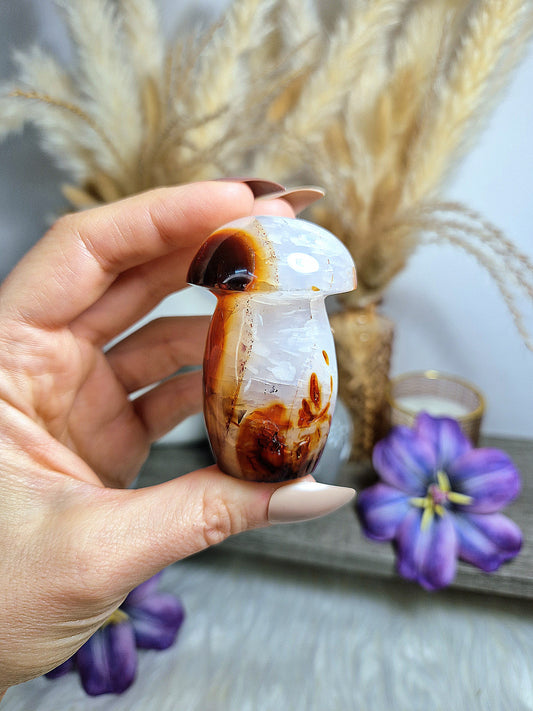 Fungo di AGATA CORNIOLA - n 3