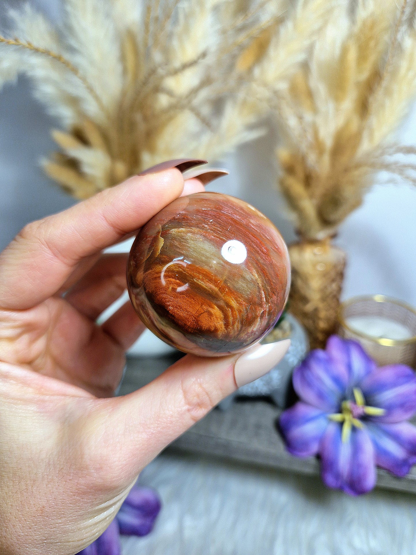 Sfera di LEGNO FOSSILE - n 1