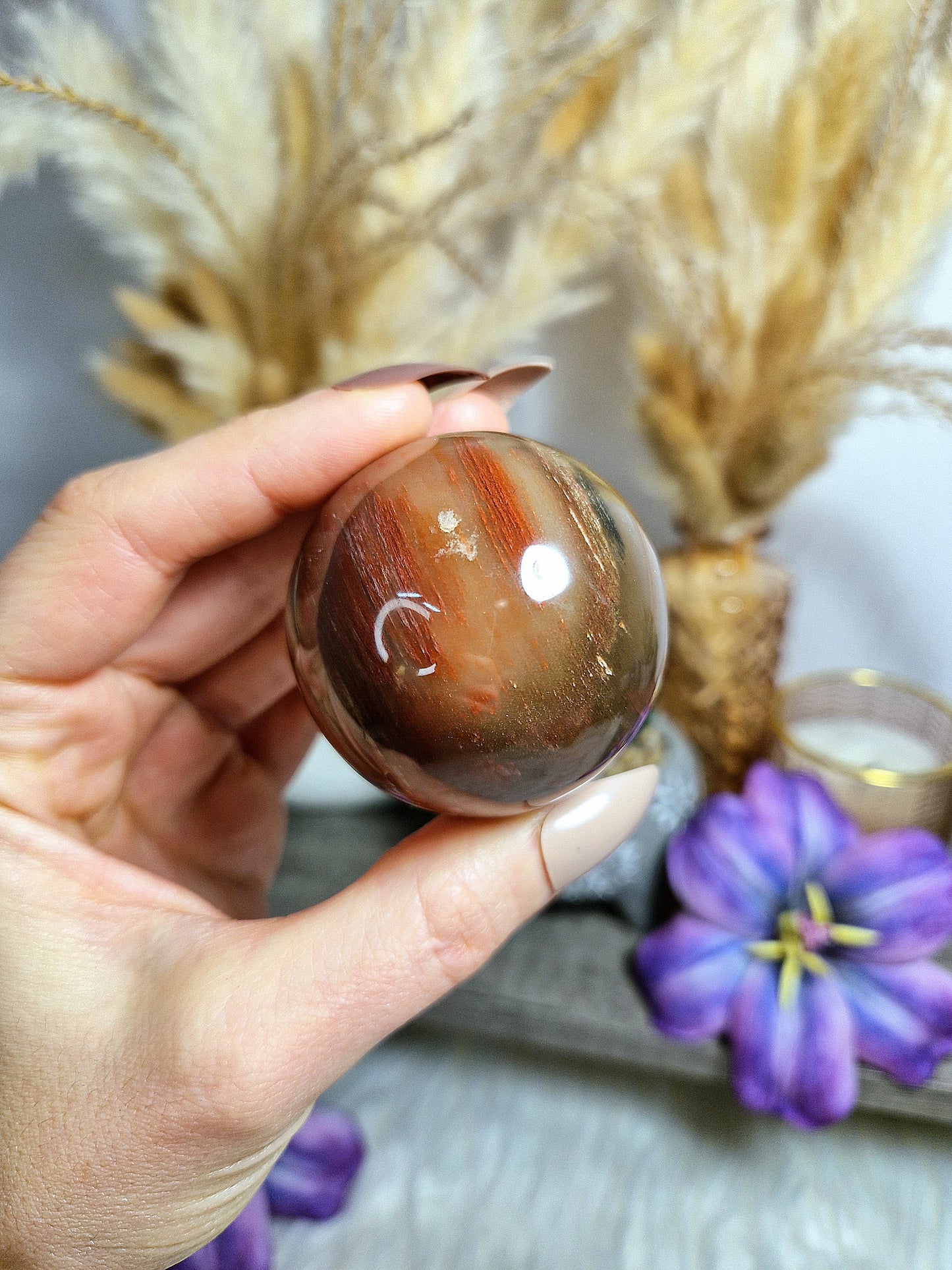 Sfera di LEGNO FOSSILE - n 1