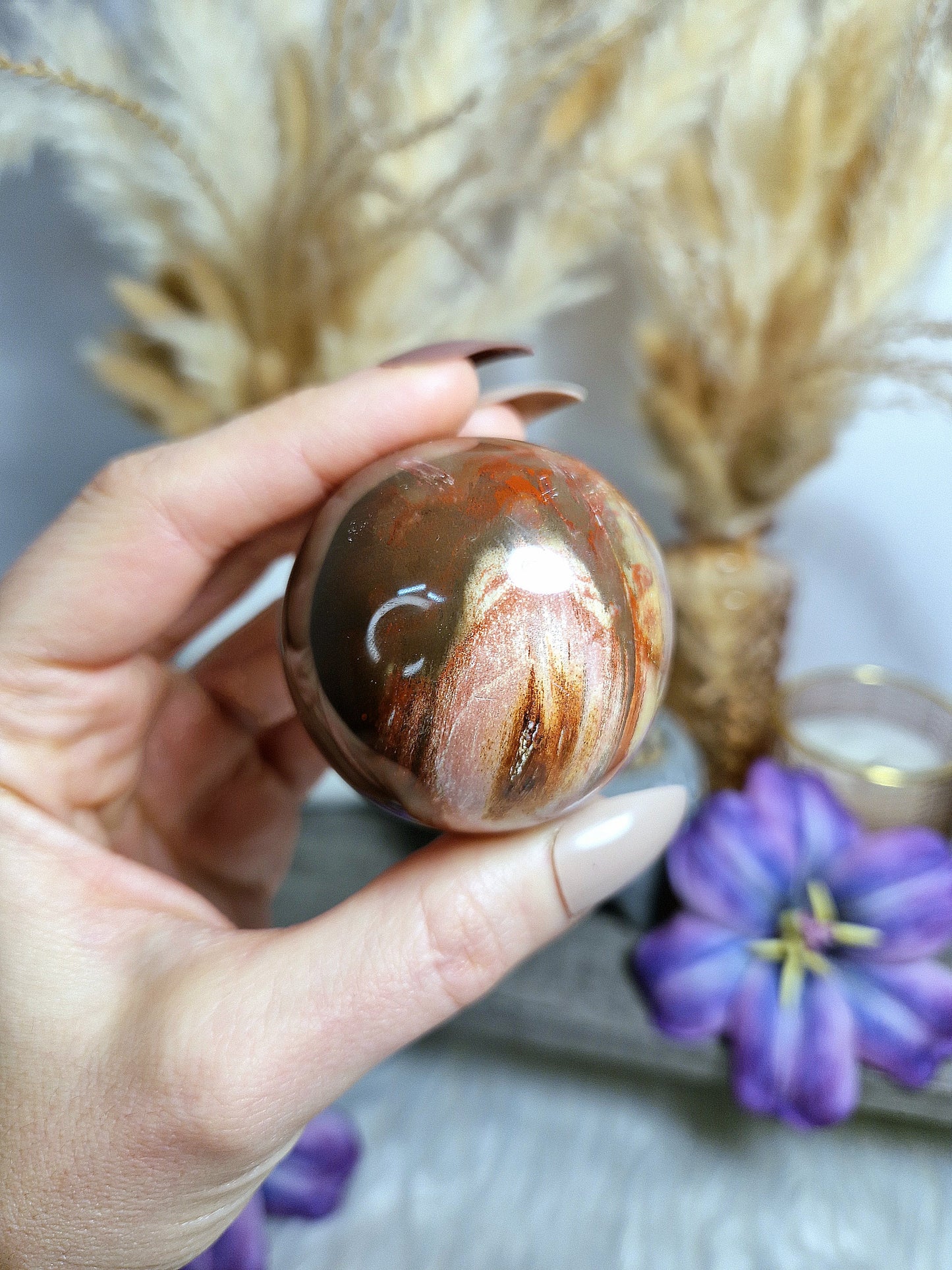 Sfera di LEGNO FOSSILE - n 1