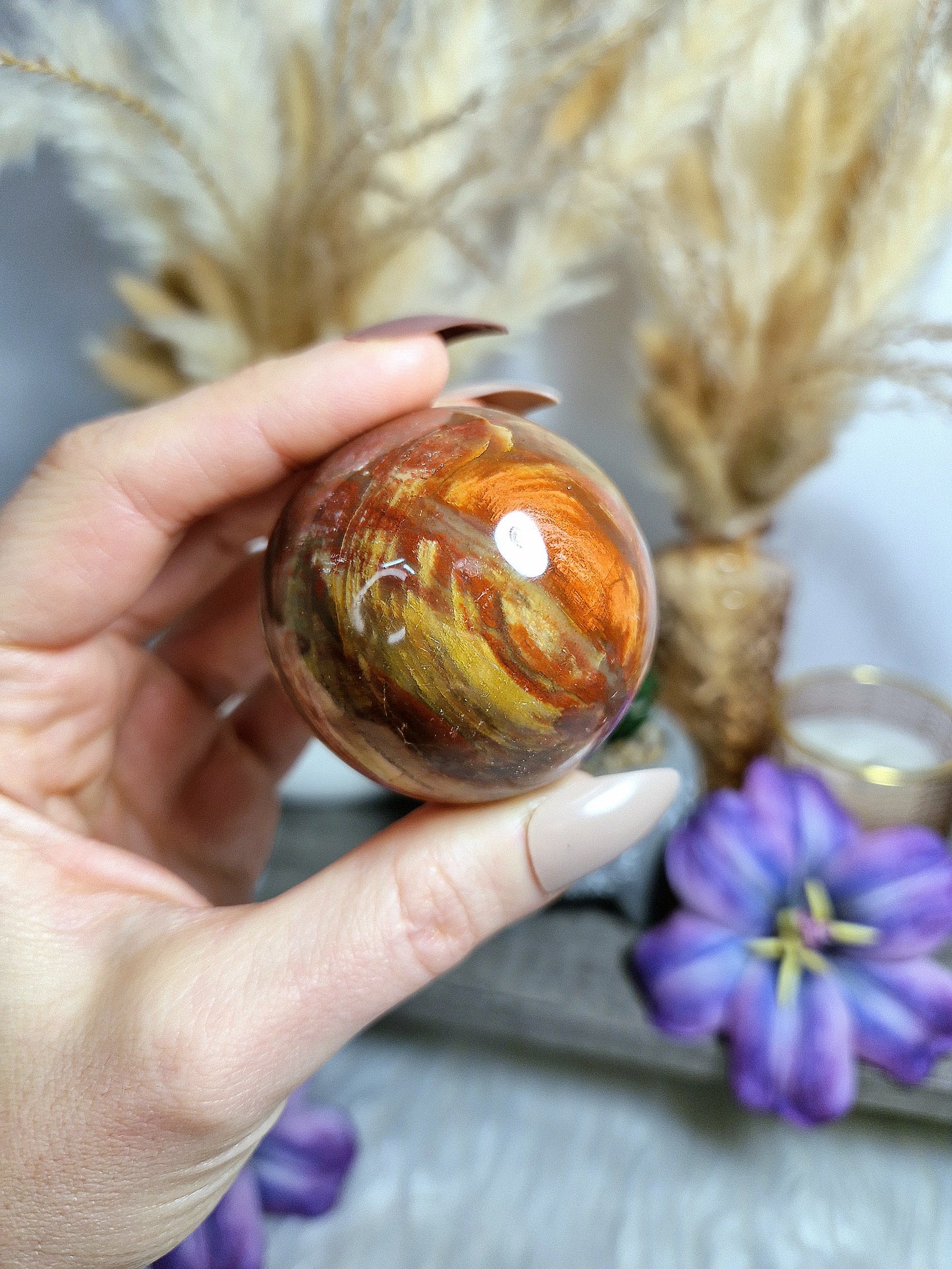 Sfera di LEGNO FOSSILE - n 1