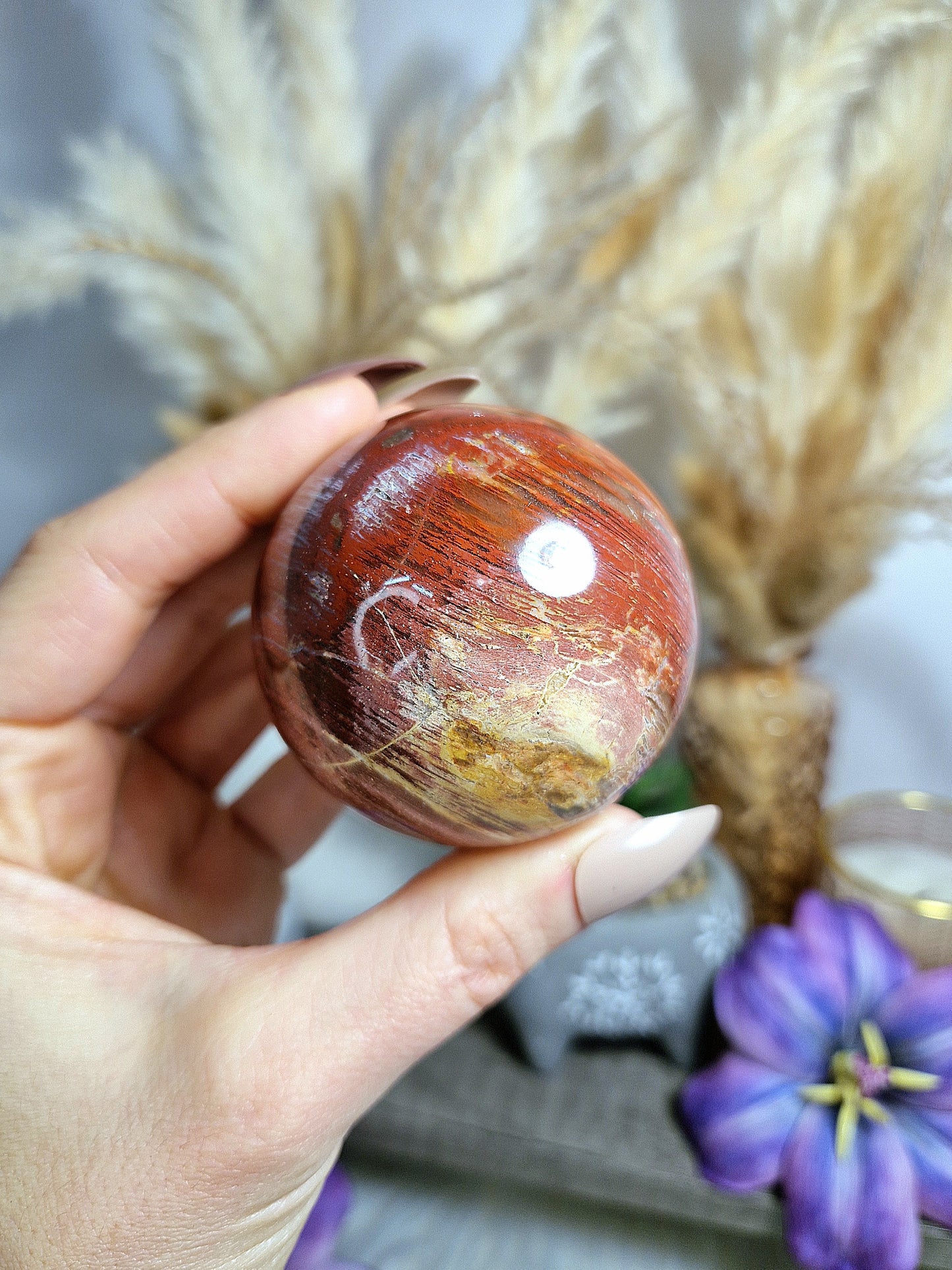 Sfera di LEGNO FOSSILE - n 2