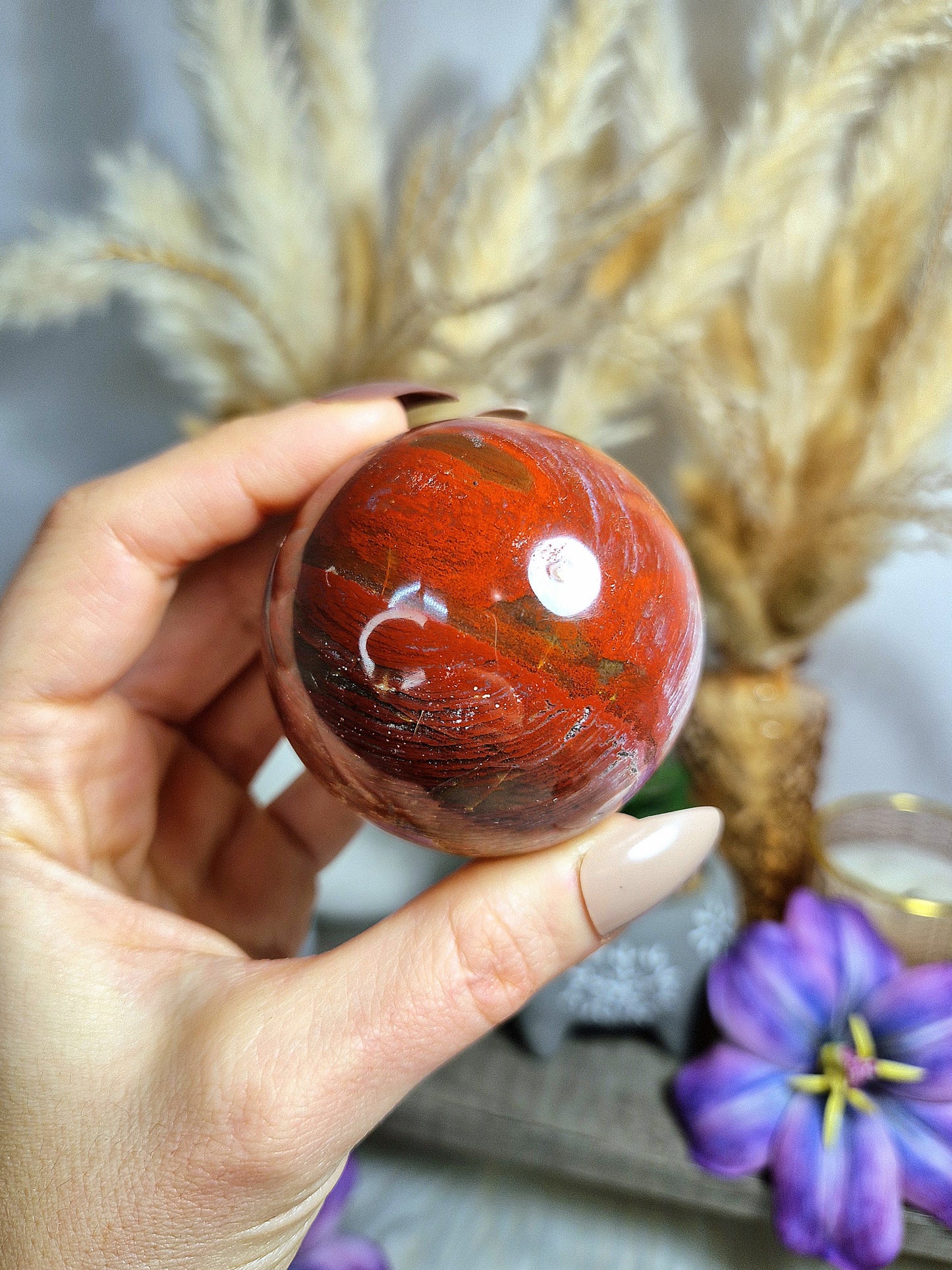 Sfera di LEGNO FOSSILE - n 2