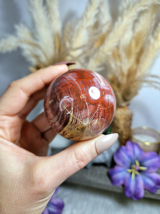 Sfera di LEGNO FOSSILE - n 2