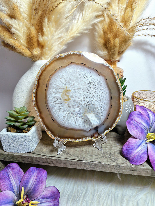 Fetta di AGATA con stand