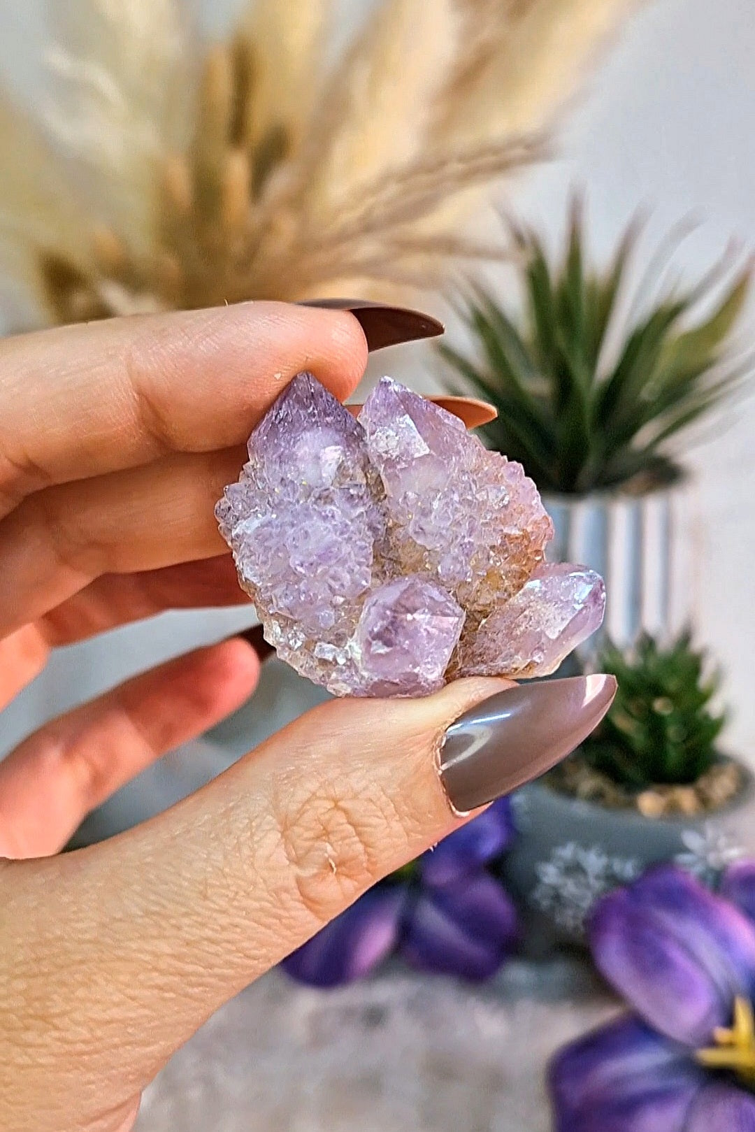 Cluster S di SPIRIT QUARTZ - QUARZO CACTUS