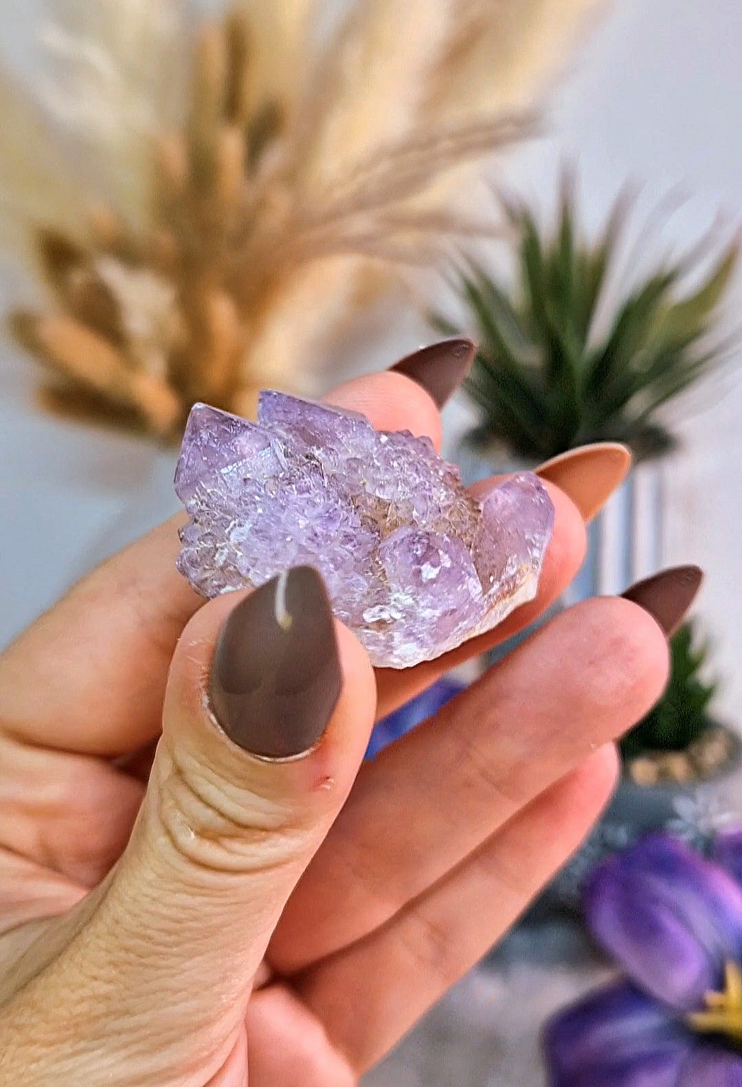 Cluster S di SPIRIT QUARTZ - QUARZO CACTUS