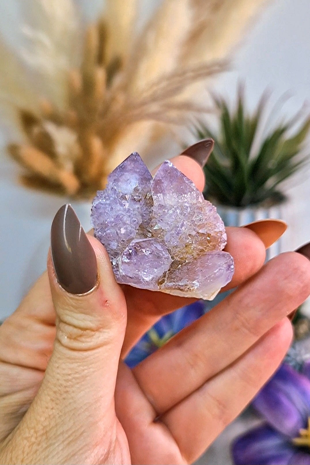 Cluster S di SPIRIT QUARTZ - QUARZO CACTUS