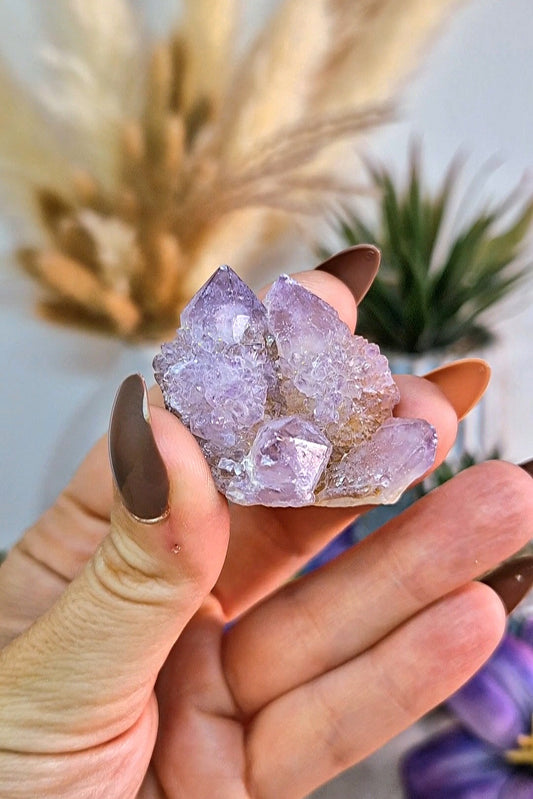 Cluster S di SPIRIT QUARTZ - QUARZO CACTUS