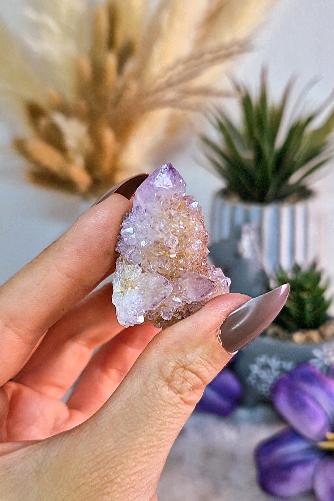 Cluster di SPIRIT QUARTZ - QUARZO CACTUS