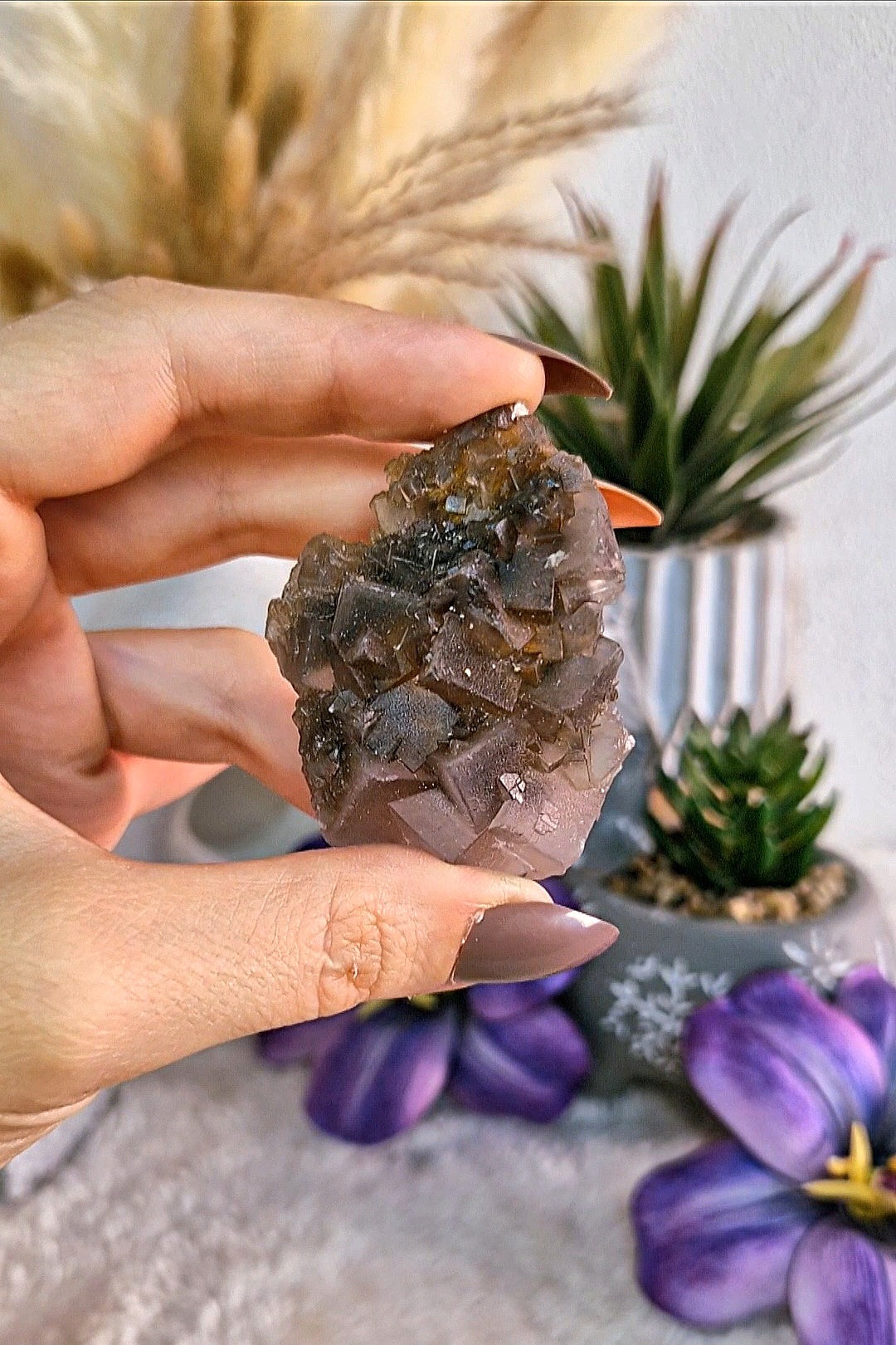 FLUORITE NERA del Pakistan